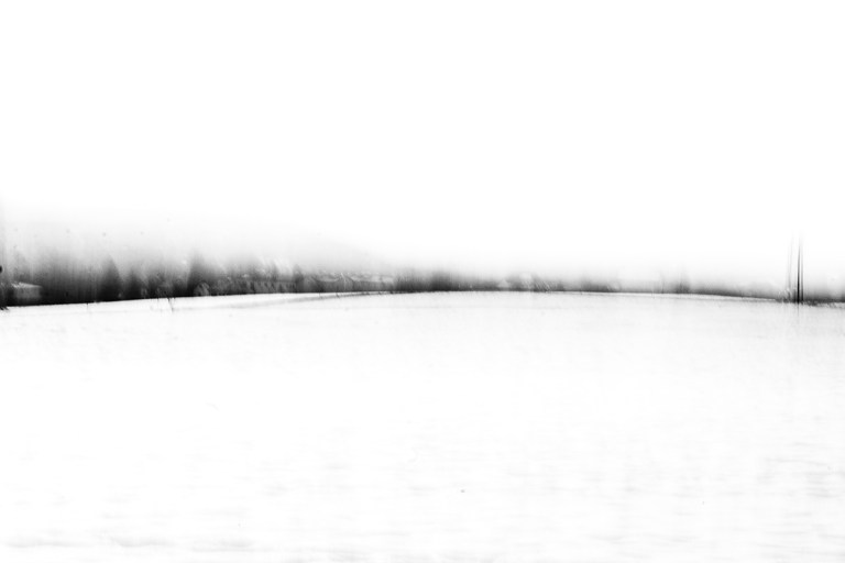 cristinacolombo_lores_grey_CRW_3931 Kopie