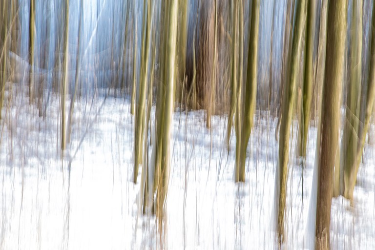 cristinacolombo_salzachsee_lores_IMG_3189