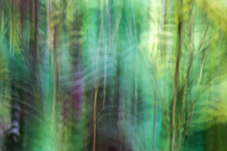 cristiancolombo_gartenoktober_1213_small