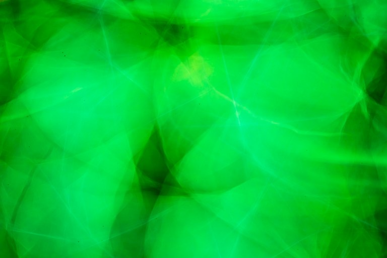 cristinacolombo_gartenoktober_1169_small