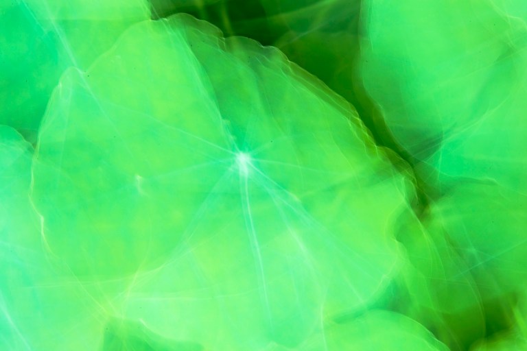 cristinacolombo_gartenoktober_1173_small