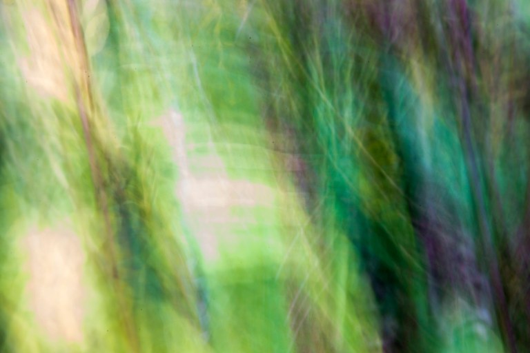 cristinacolombo_gartenoktober_1216_small