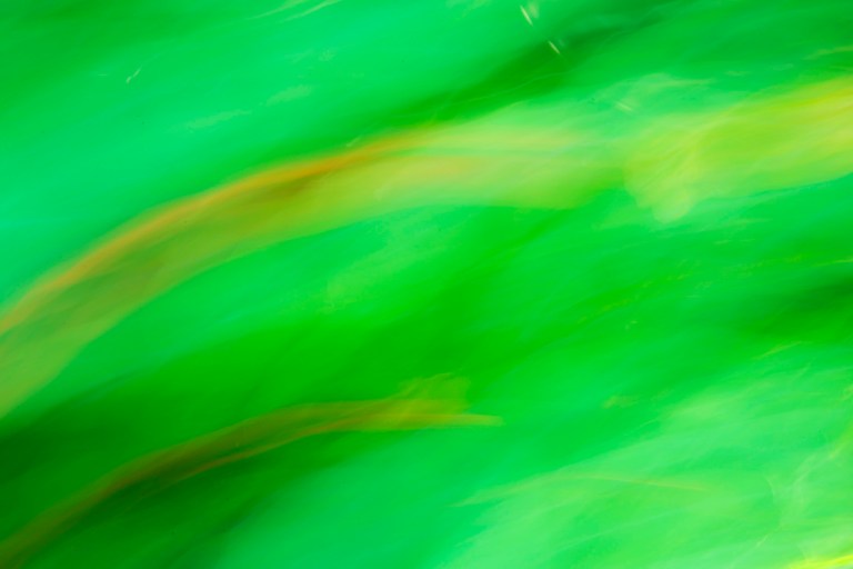 cristinacolombo_gartenoktober_1182_small