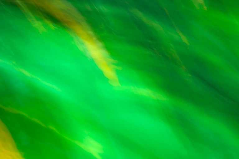 cristinacolombo_gartenoktober_1184_small