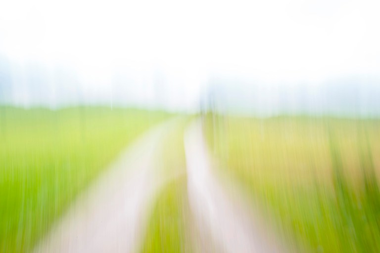 cristinacolombo_nussdorf_2945_small